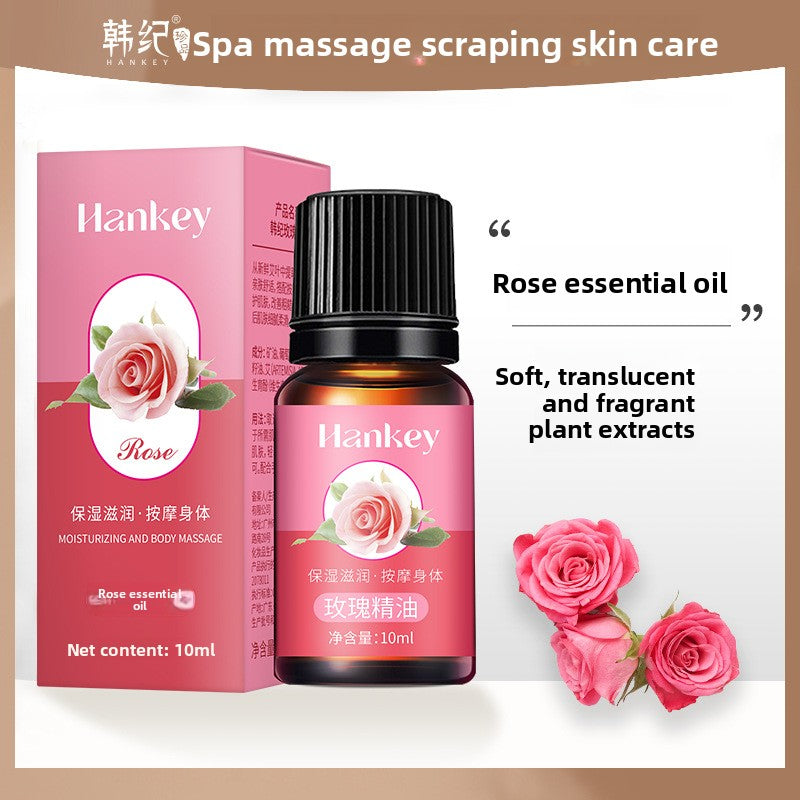 Rose mugwort plant essential oil