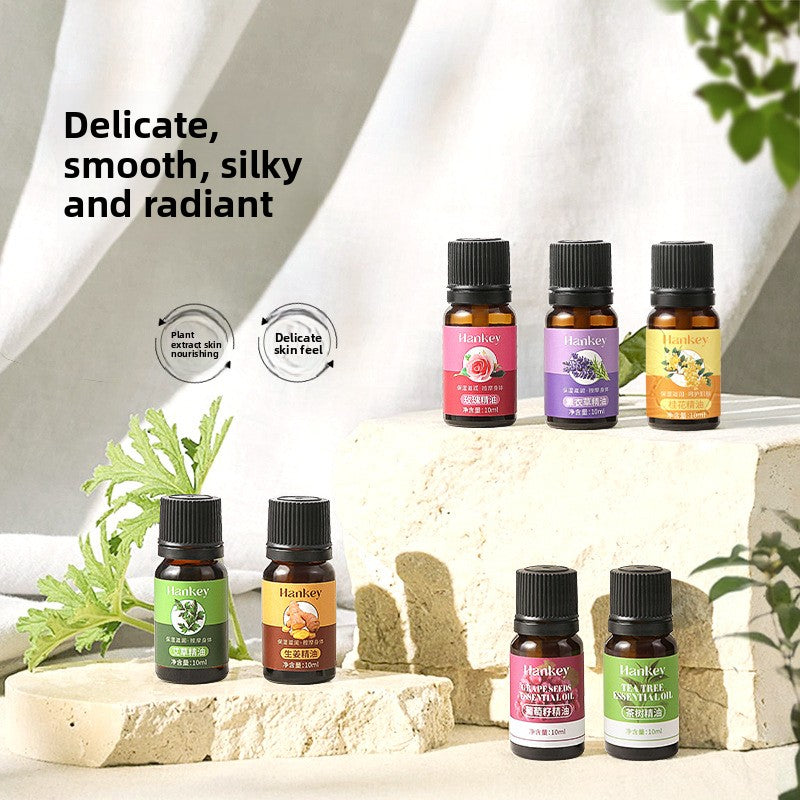 Rose mugwort plant essential oil