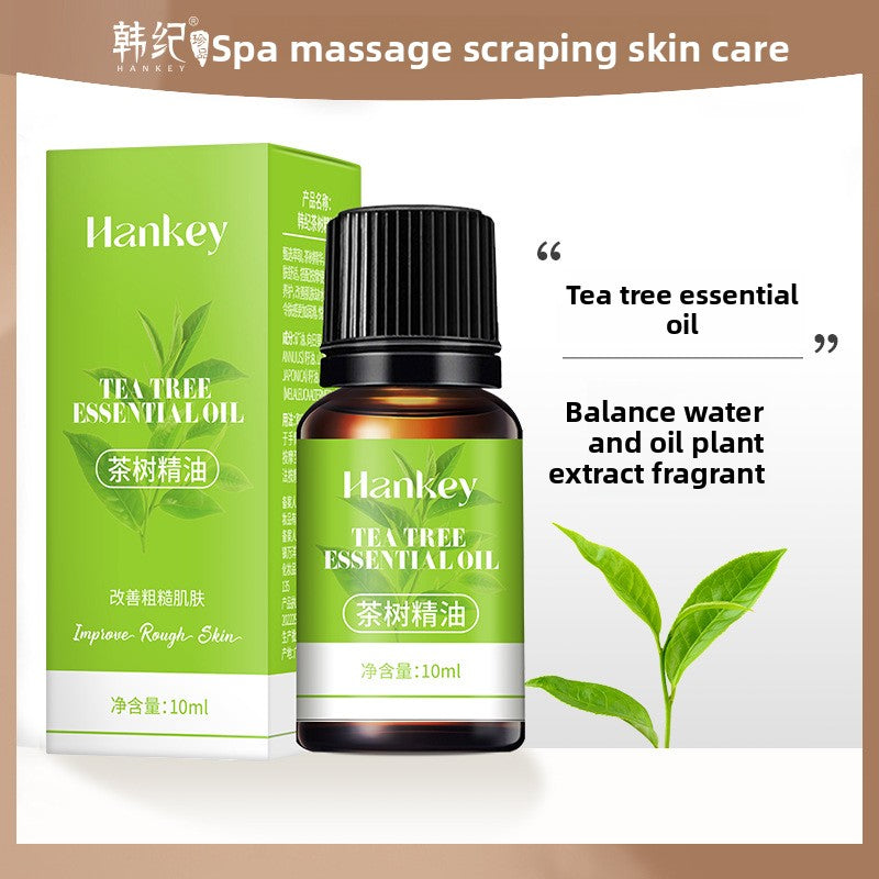 Rose mugwort plant essential oil