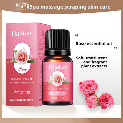 Rose mugwort plant essential oil